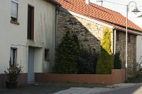 IMG_1454