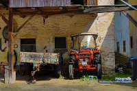 IMG_6743