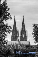 _MG_9568