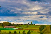 _MG_0881