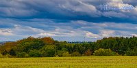 _MG_0882