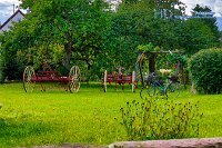 _MG_0885